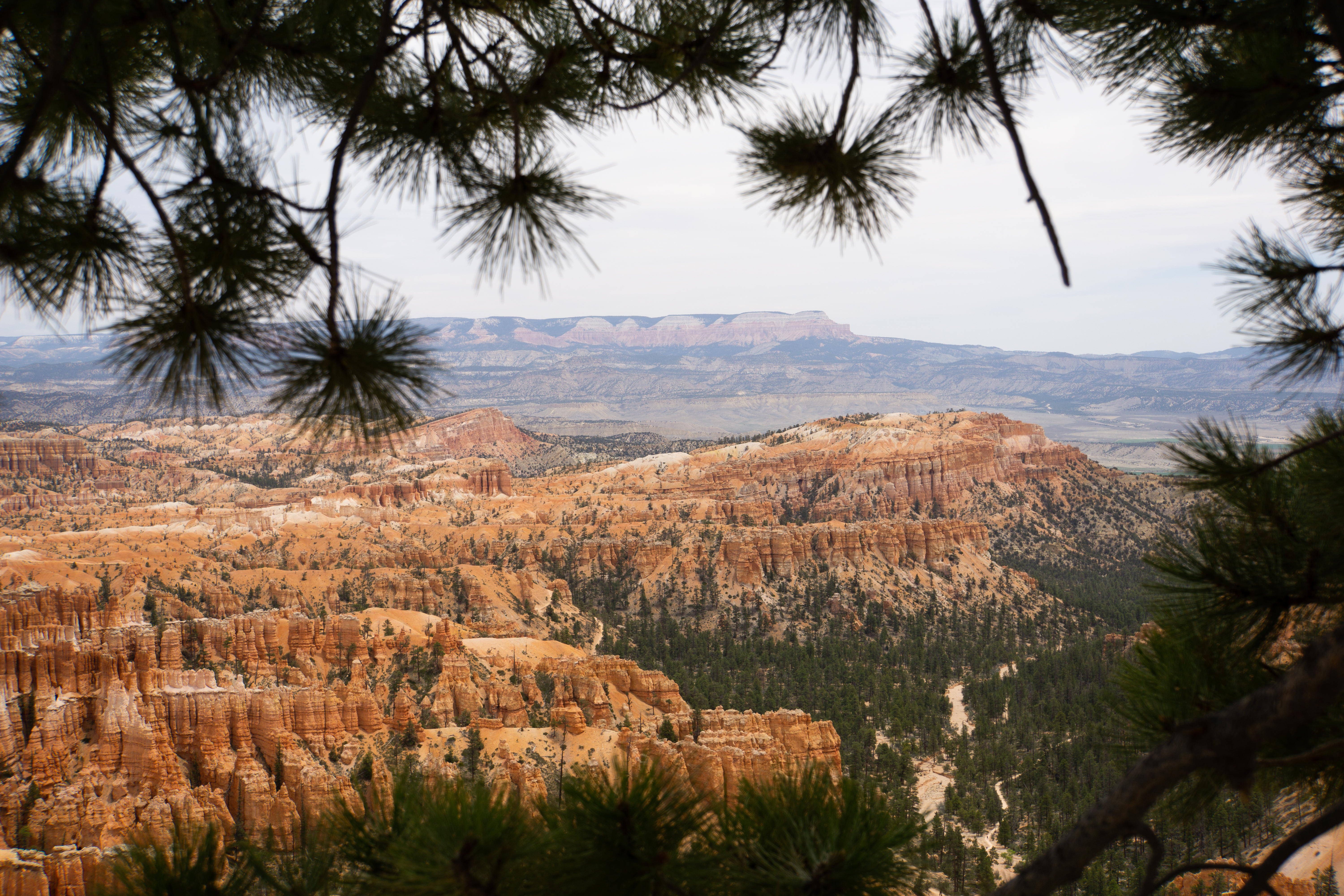 US National Parks 2022 1